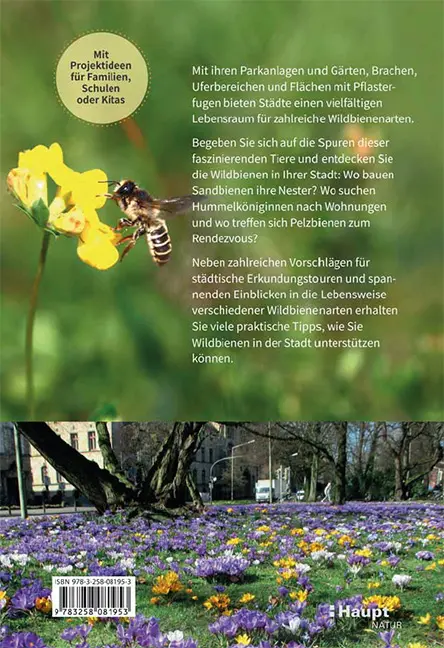 Rückseitencover Wildbienen in der Stadt