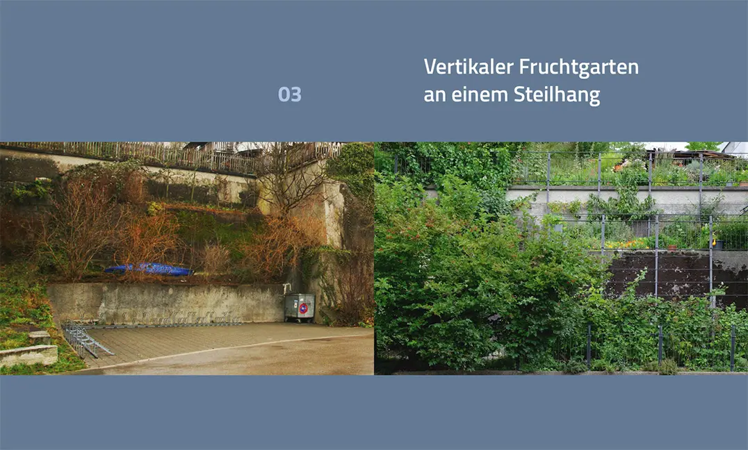 Beispielinhalt (Bild) Wege zum Naturgarten