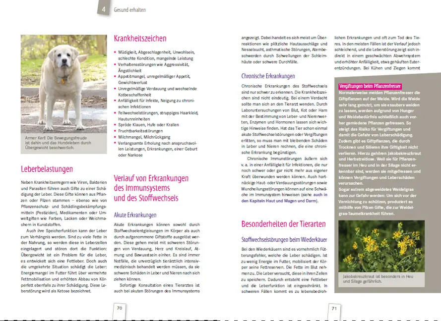 Beispielinhalt (Bild) Heilende Kräuter für Tiere