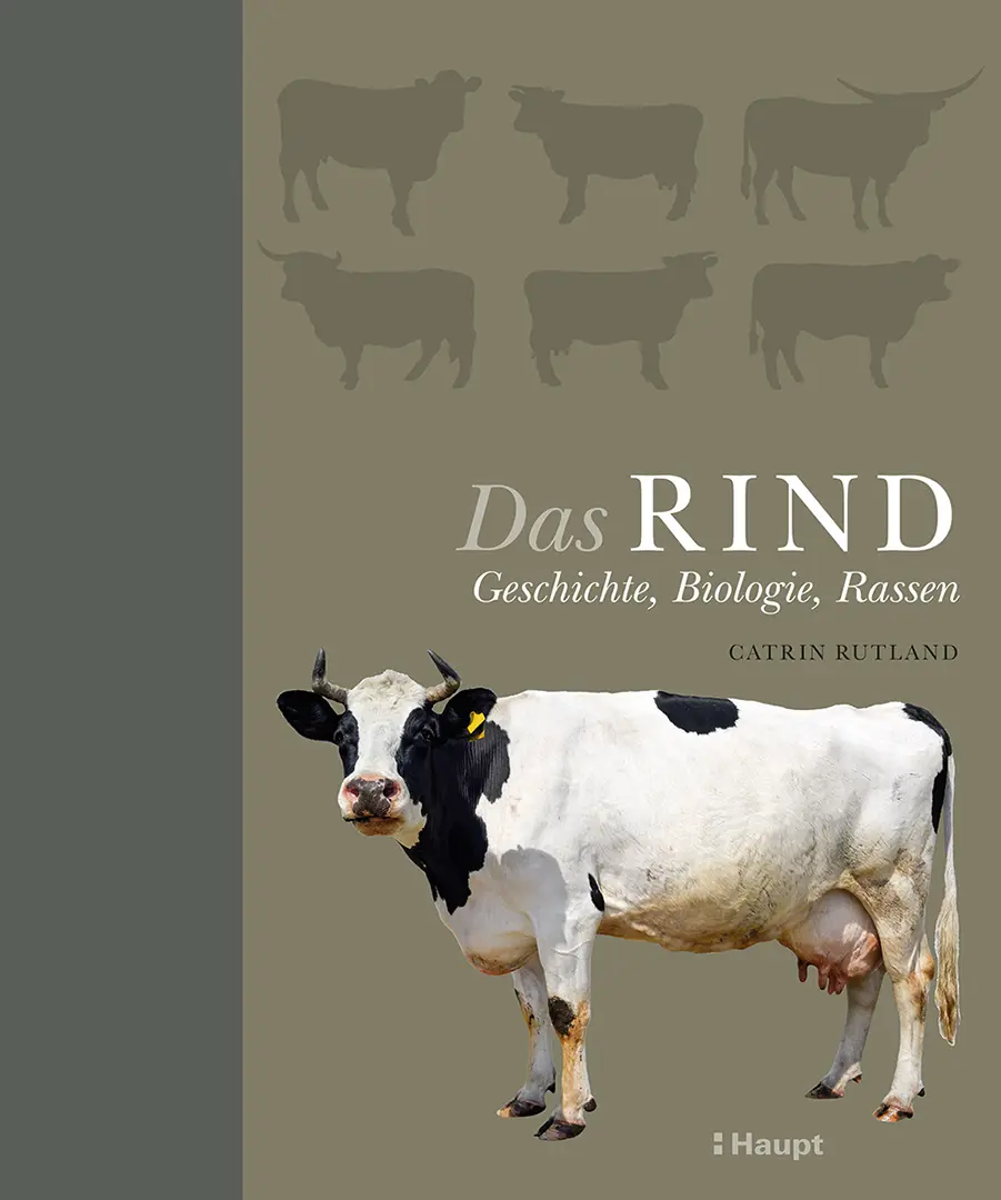 Vorderes Coverbild Das Rind