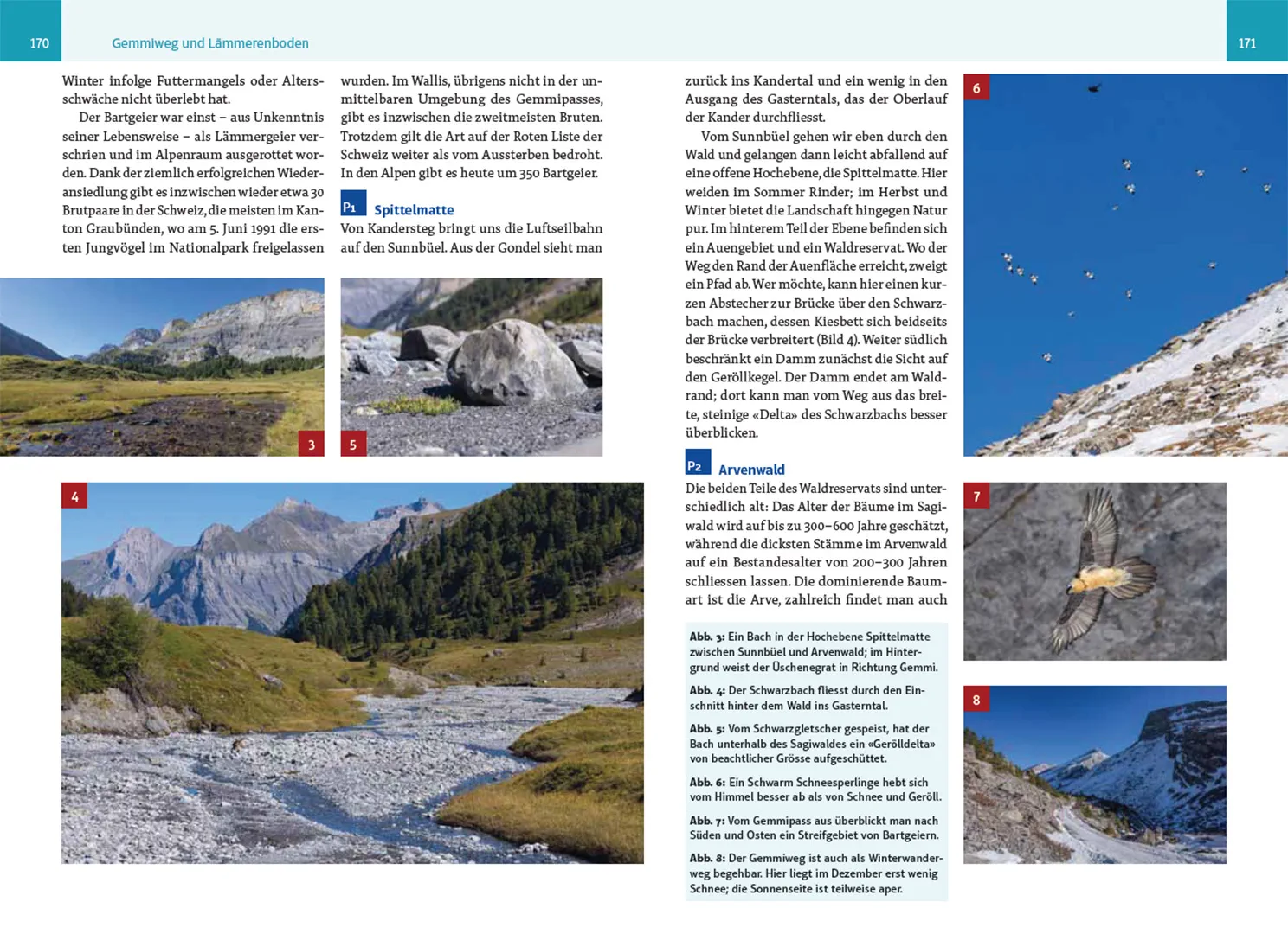 Beispielinhalt (Bild) An wilden Wassern und stillen Ufern