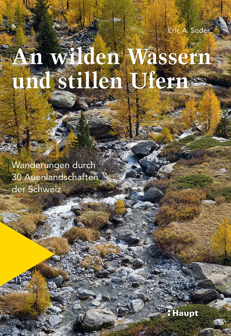 Vorderes Coverbild An wilden Wassern und stillen Ufern