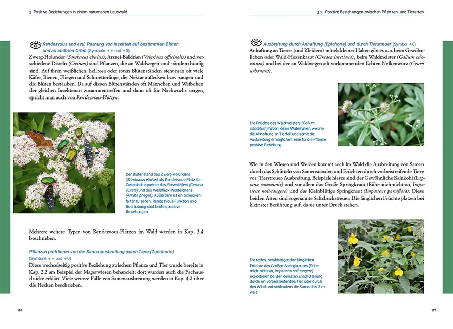 Beispielinhalt (Bild) Symbiosen in unseren Wiesen, Wäldern und Mooren