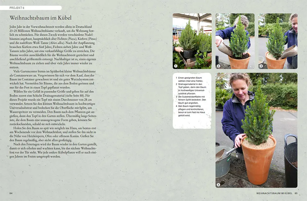 Beispielinhalt (Bild) Gartenbäume