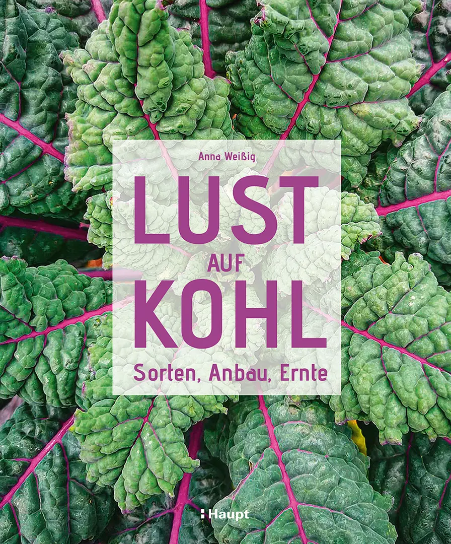 Vorderes Coverbild Lust auf Kohl