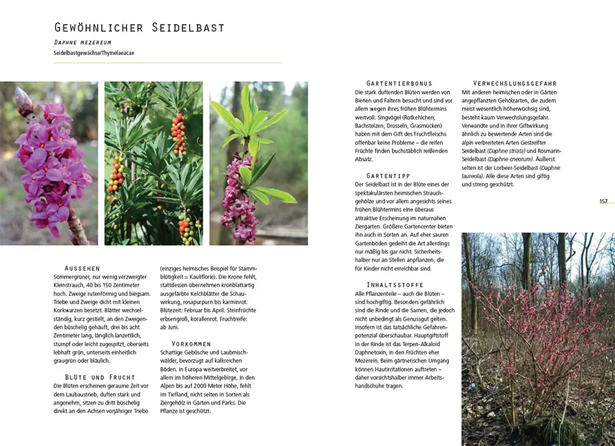 Beispielinhalt (Bild) Gefährliche Schönheiten - Giftpflanzen im Garten