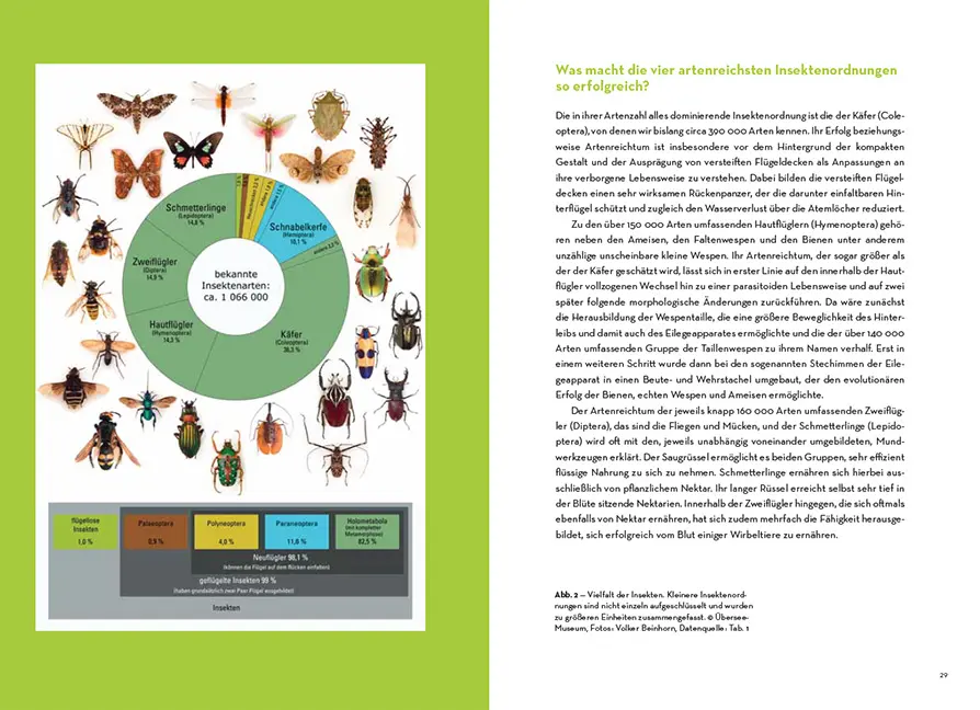Beispielinhalt (Bild) Facettenreiche Insekten