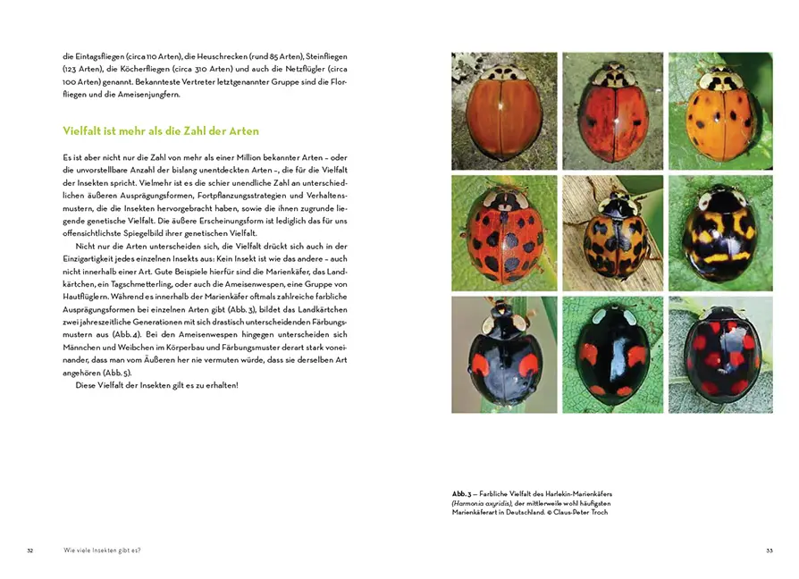 Beispielinhalt (Bild) Facettenreiche Insekten