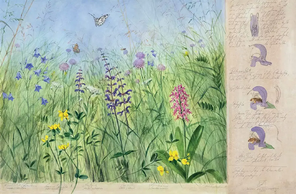 Beispielinhalt (Bild) Miteinander