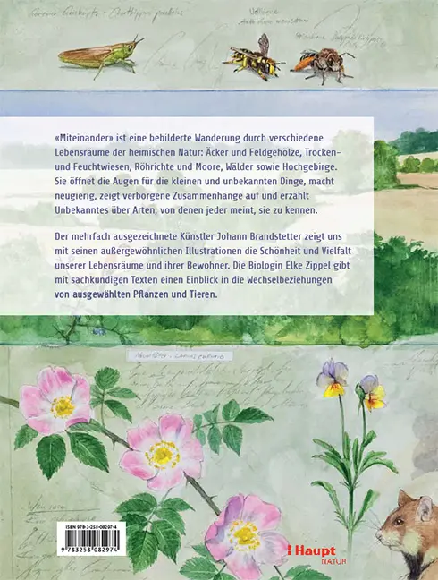 Rückseitencover Miteinander