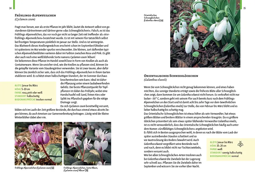 Beispielinhalt (Bild) Gartenschätze