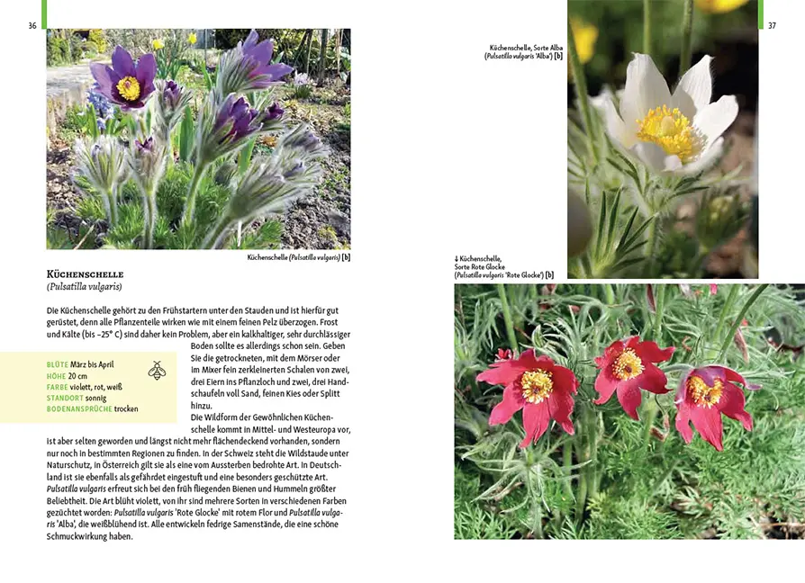 Beispielinhalt (Bild) Gartenschätze