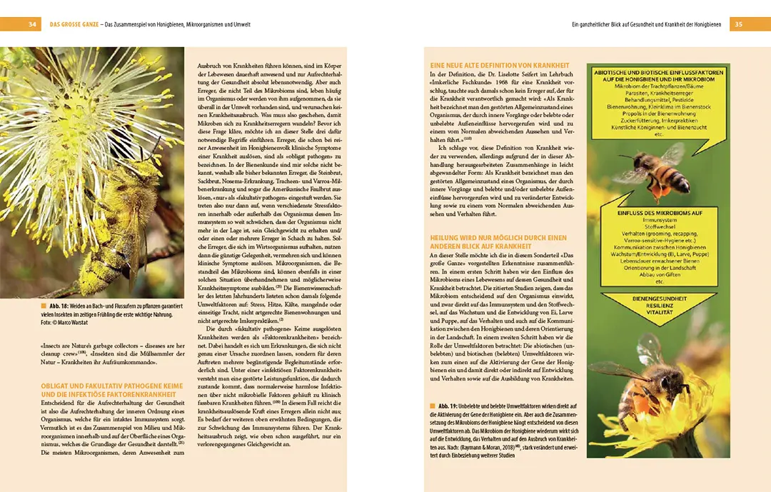 Beispielinhalt (Bild) Bienenbau und Bienenbeute