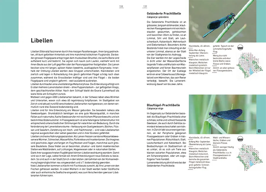 Beispielinhalt (Bild) Neue Stadtfauna