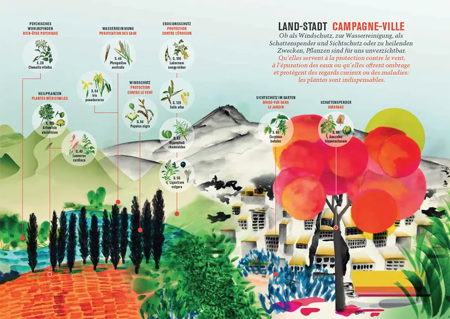 Beispielinhalt (Bild) Botanica 2023