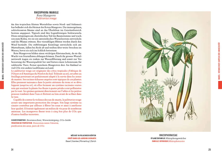 Beispielinhalt (Bild) Botanica 2023