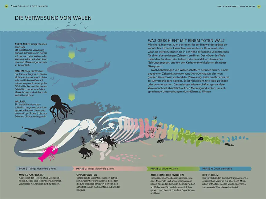 Beispielinhalt (Bild) Im Takt der Natur