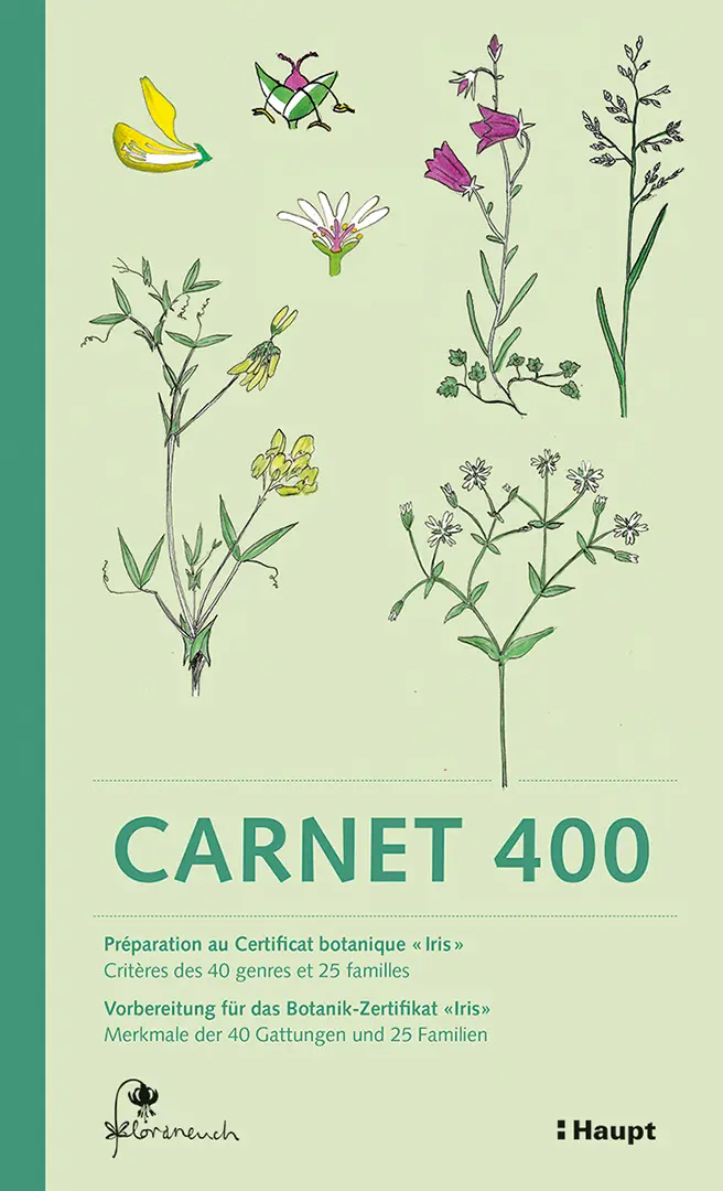 Vorderes Coverbild Carnet 400