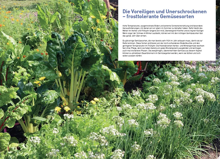 Beispielinhalt (Bild) Klimastarke Gemüse