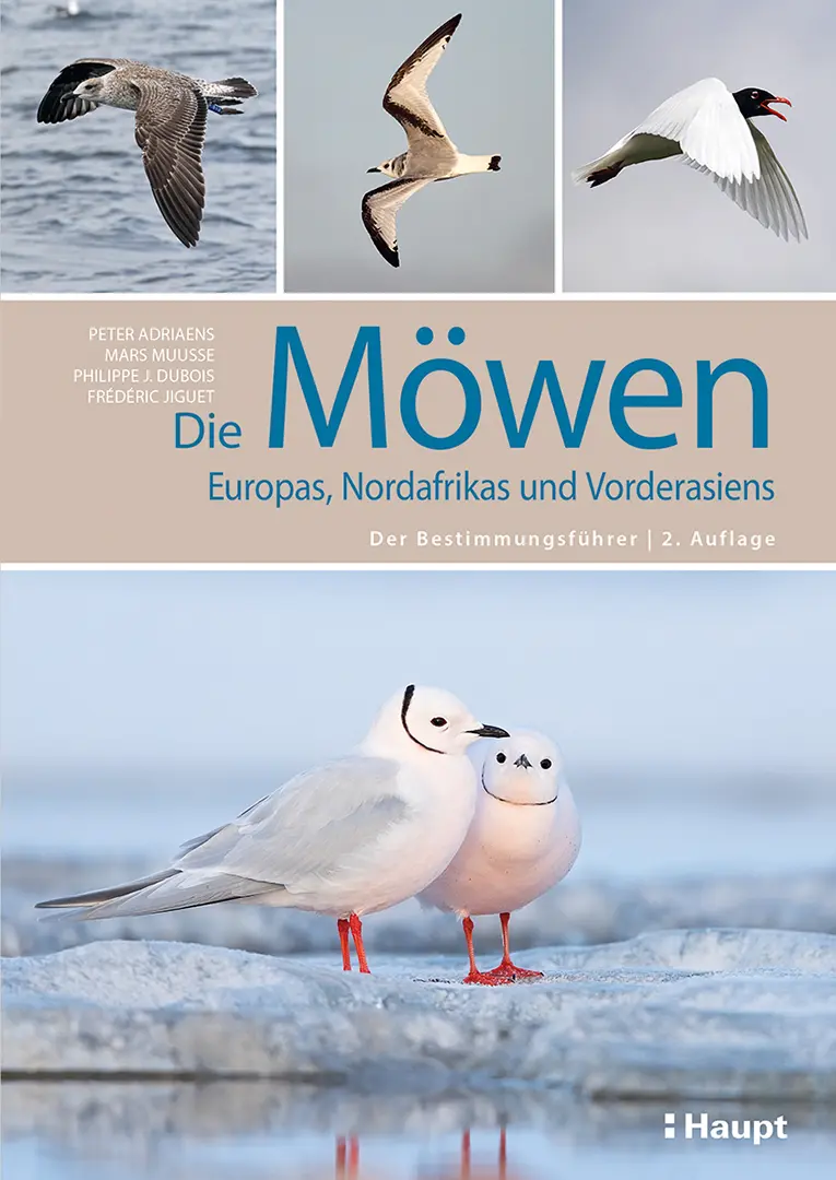 Vorderes Coverbild Die Möwen Europas, Nordafrikas und Vorderasiens
