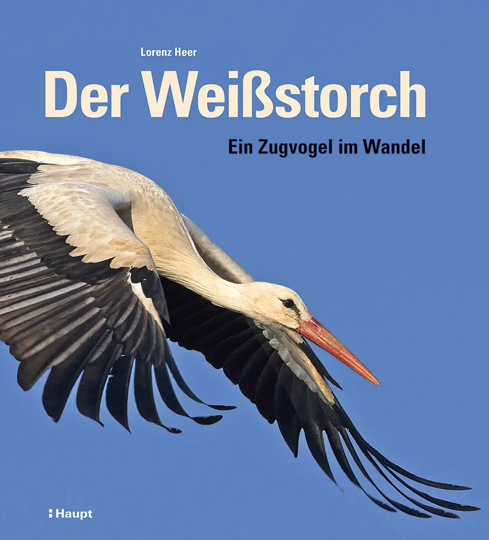 Vorderes Coverbild Der Weißstorch