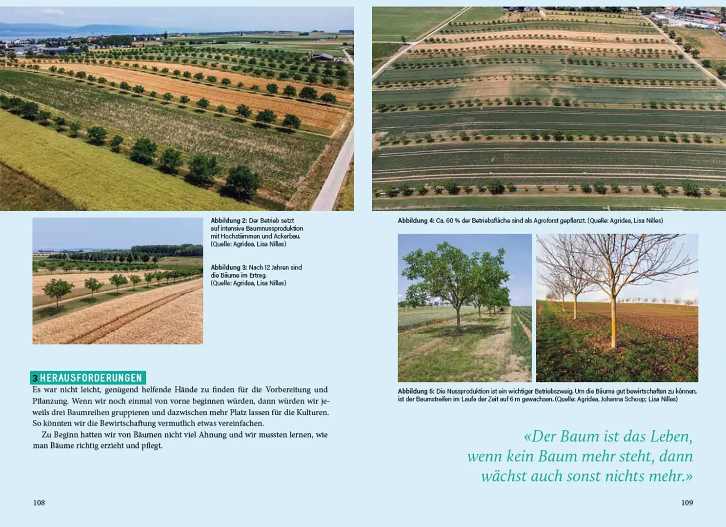 Beispielinhalt (Bild) Agroforstpraxis in der Schweiz