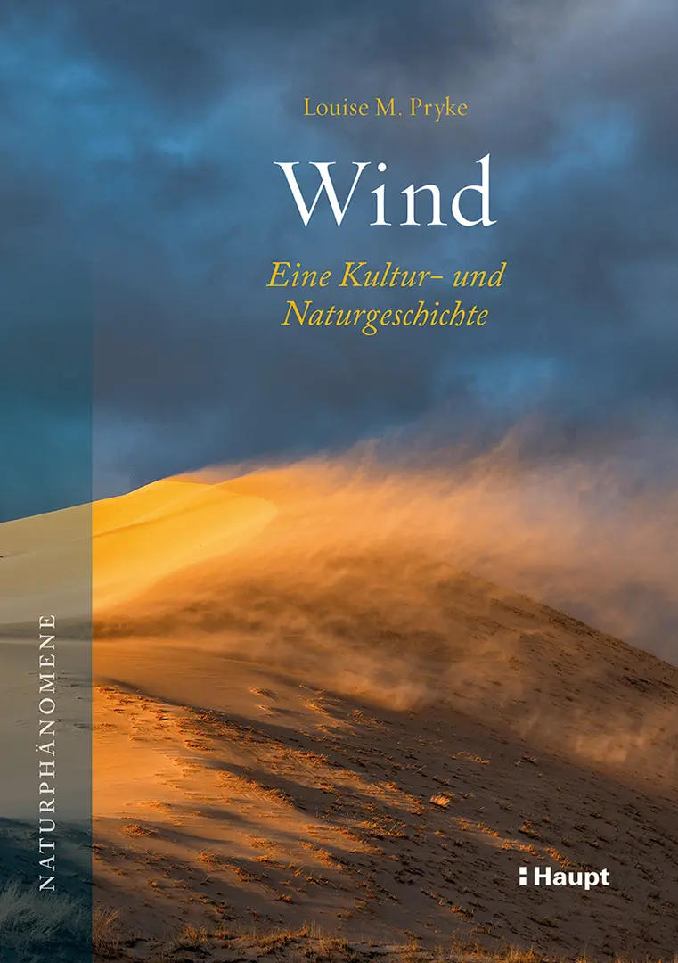 Vorderes Coverbild Wind