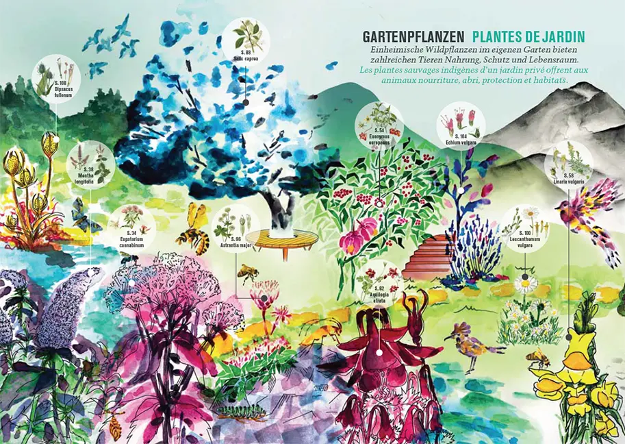 Beispielinhalt (Bild) Botanica 2024