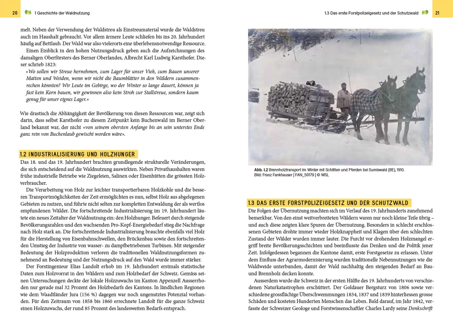 Beispielinhalt (Bild) Waldbewirtschaftung in der Schweiz