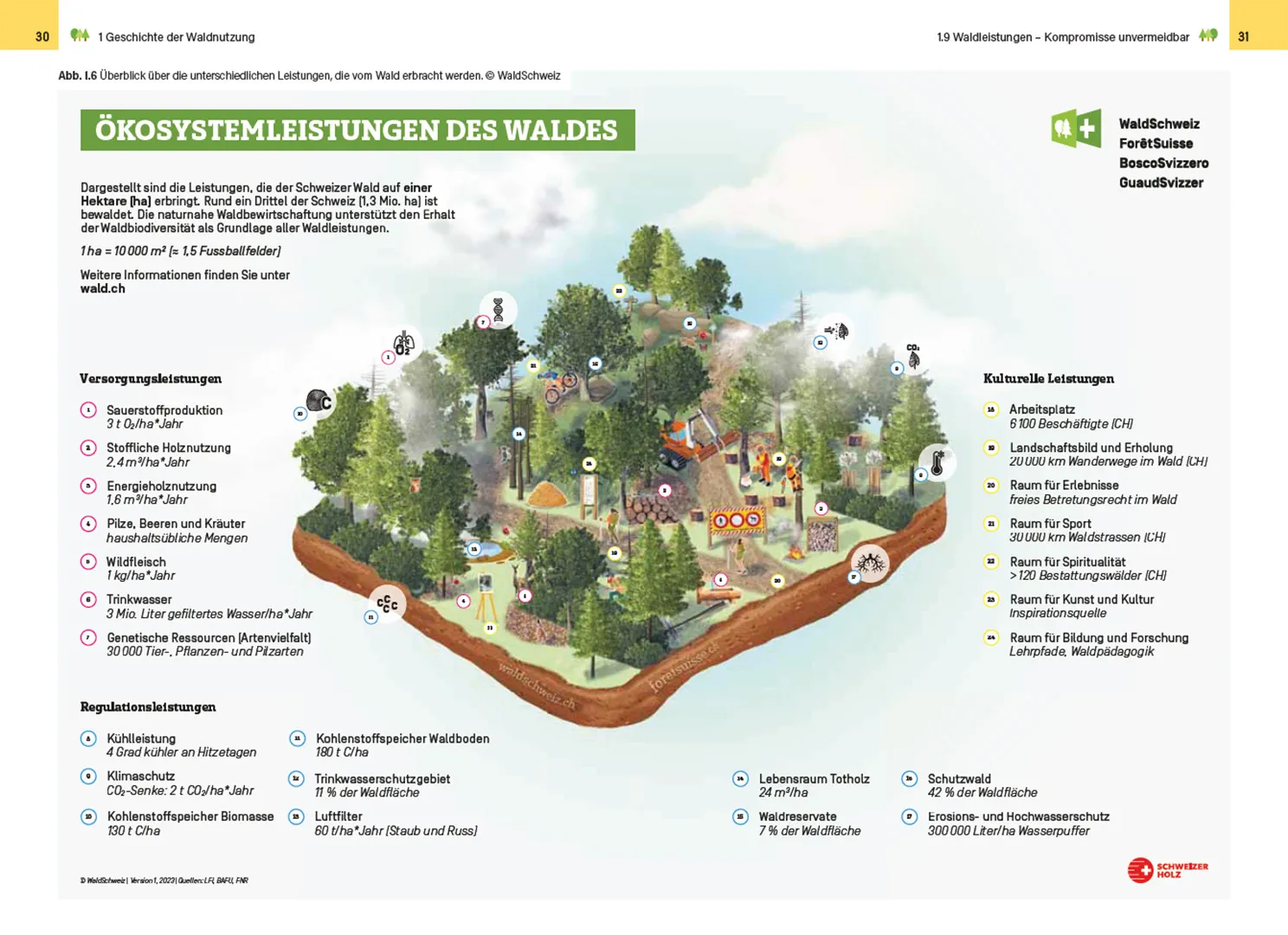 Beispielinhalt (Bild) Waldbewirtschaftung in der Schweiz