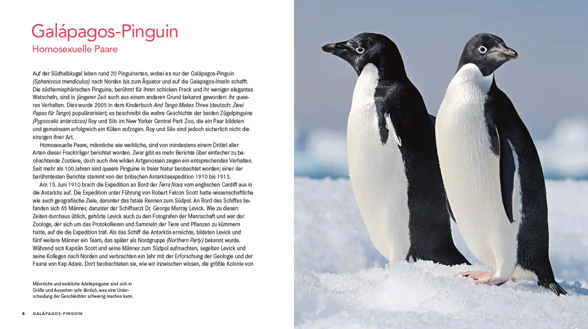 Beispielinhalt (Bild) Queer