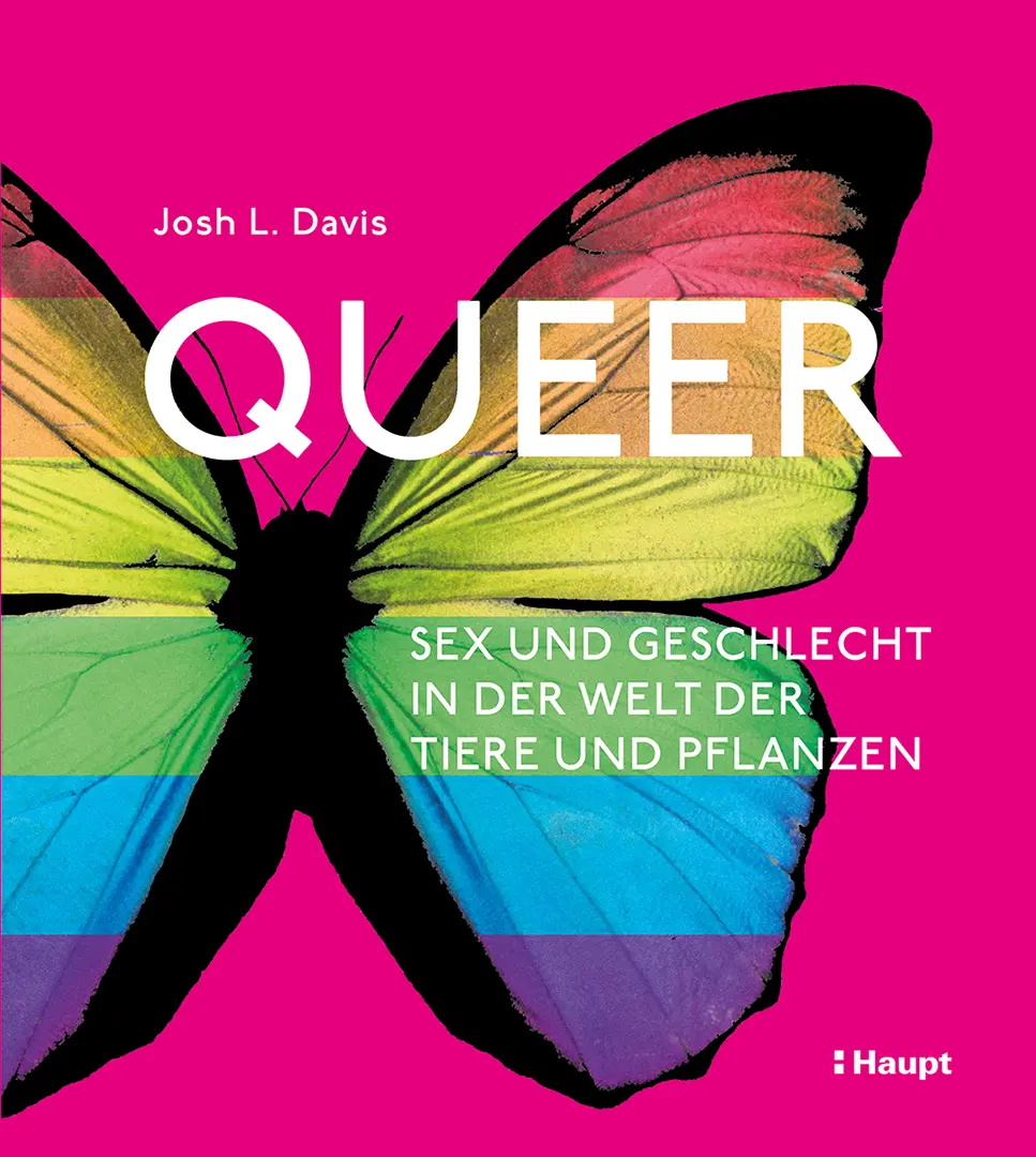 Vorderes Coverbild Queer