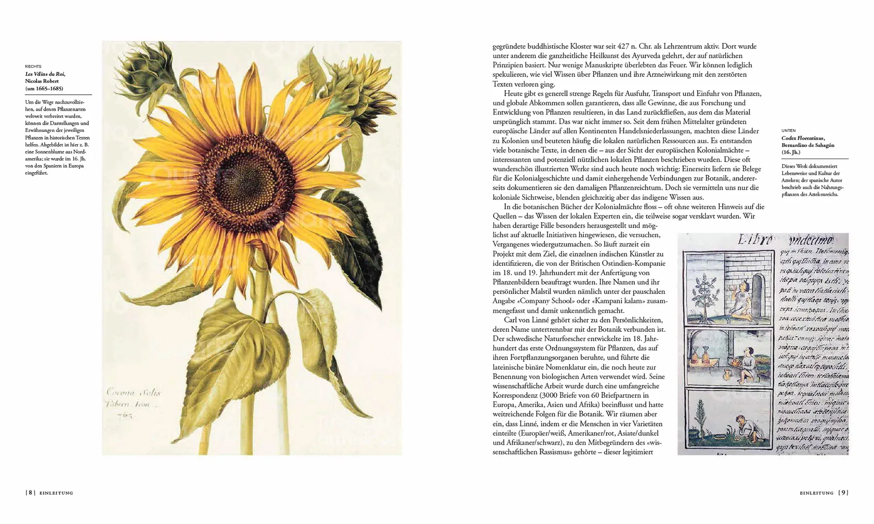 Beispielinhalt (Bild) Die Geschichte der Botanik in 300 Büchern