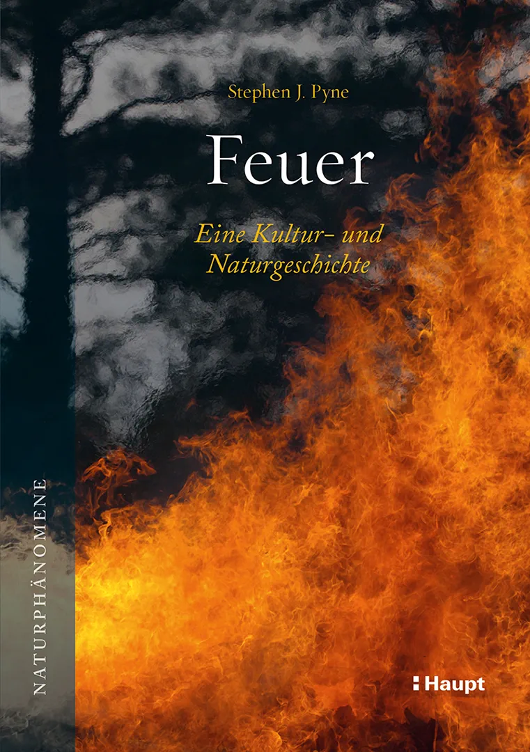 Vorderes Coverbild Feuer