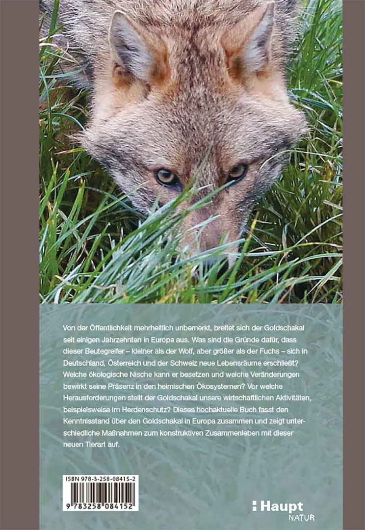Rückseitencover Der Goldschakal