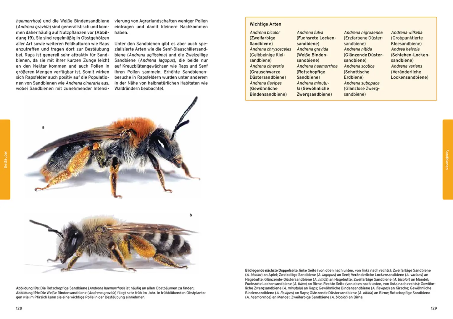 Beispielinhalt (Bild) Praxishandbuch Nutzpflanzenbestäubung