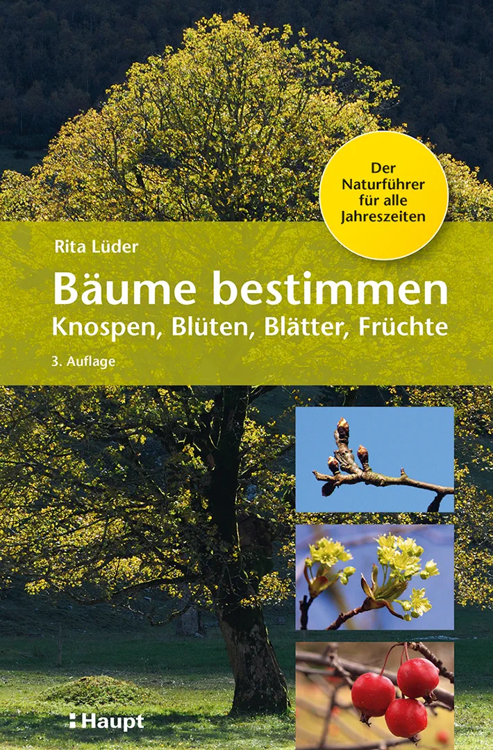 Vorderes Coverbild Bäume bestimmen - Knospen, Blüten, Blätter, Früchte