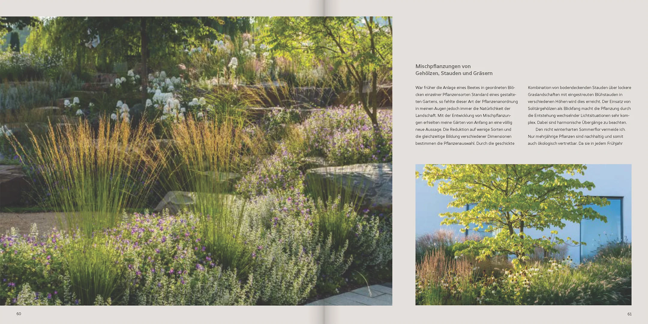 Beispielinhalt (Bild) Natur, Ästhetik, Design