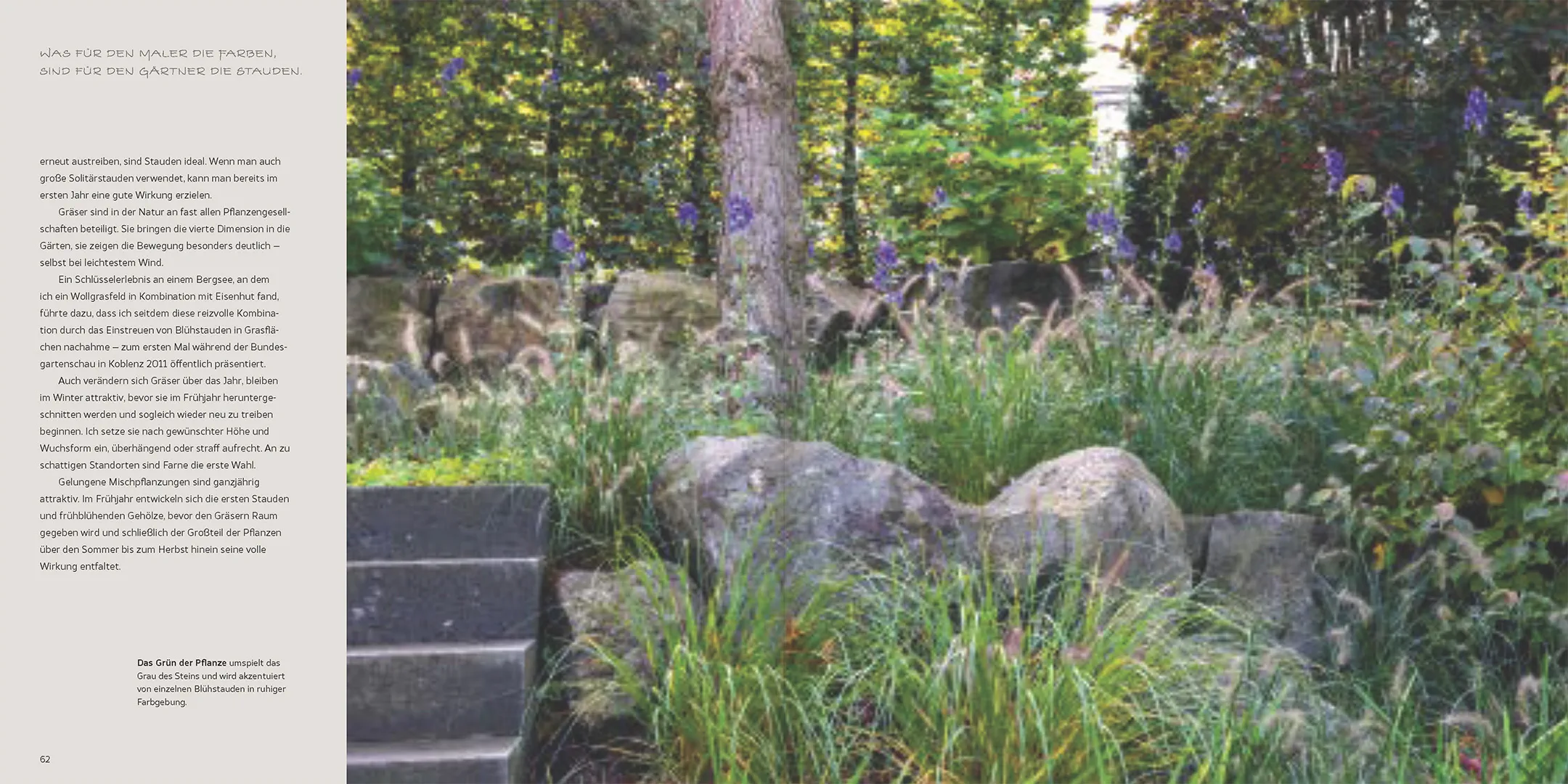 Beispielinhalt (Bild) Natur, Ästhetik, Design