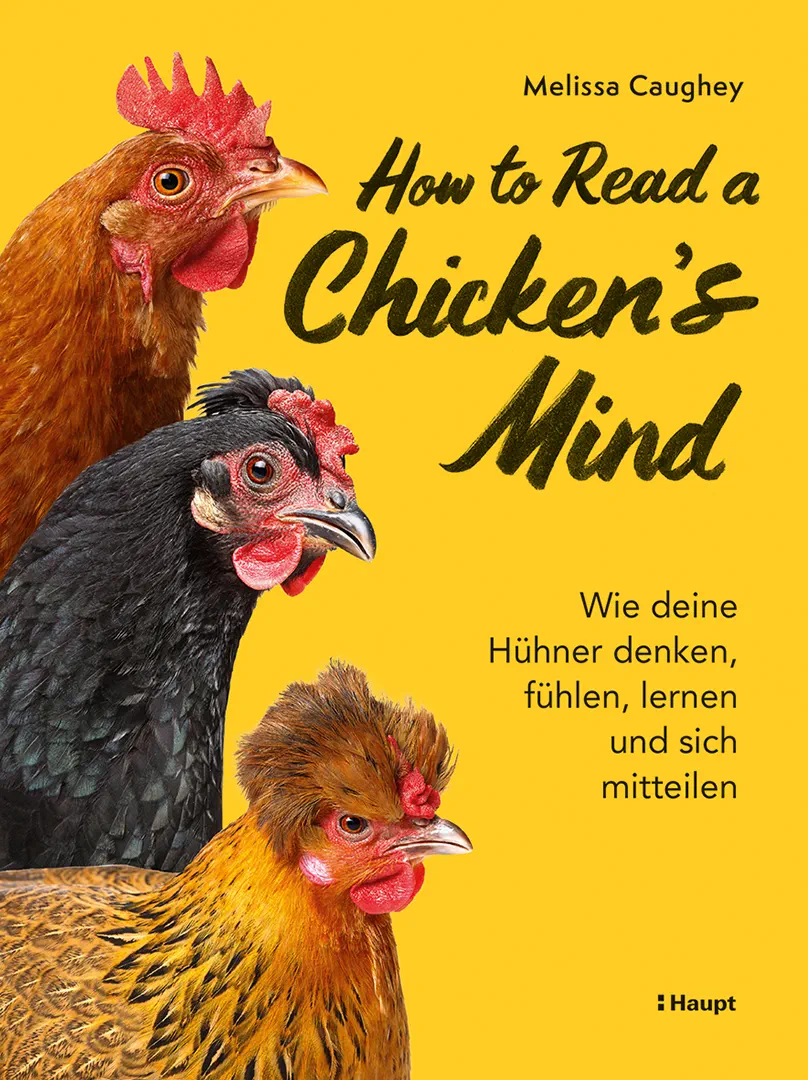Vorderes Coverbild How to Read a Chicken's Mind