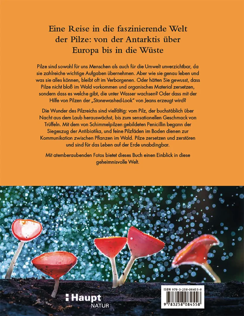 Rückseitencover Pilze