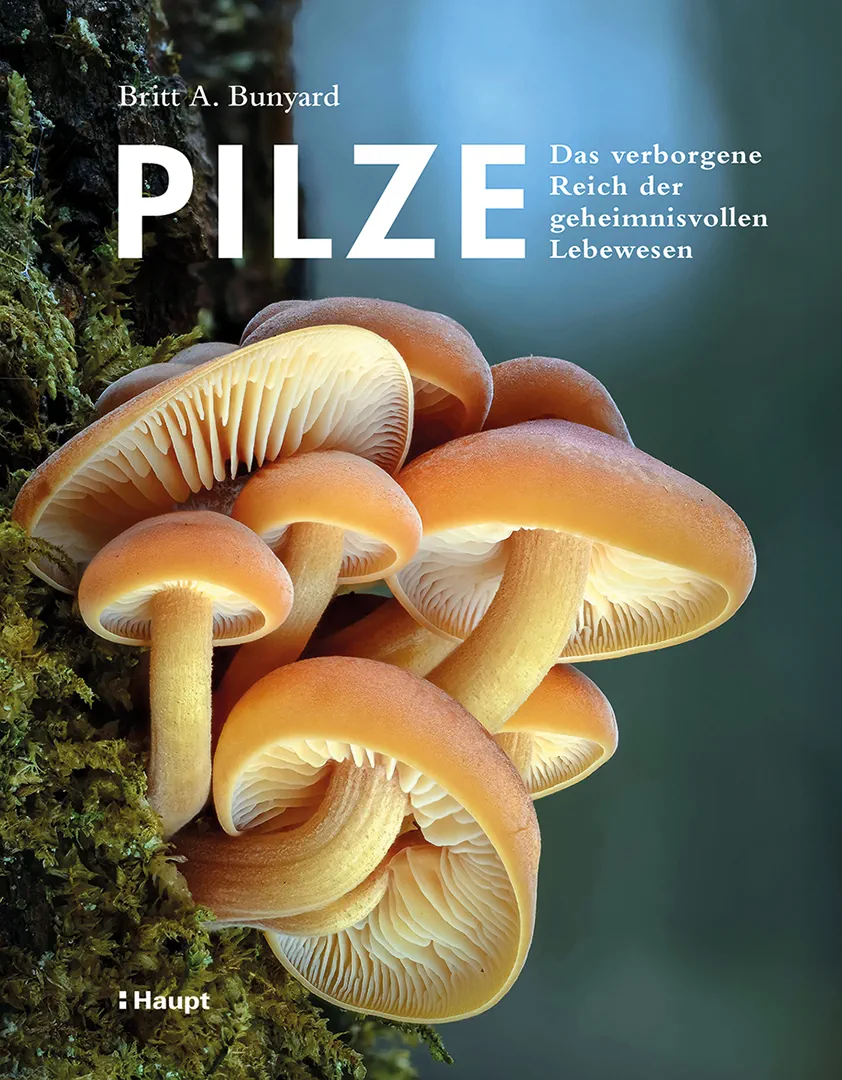 Vorderes Coverbild Pilze