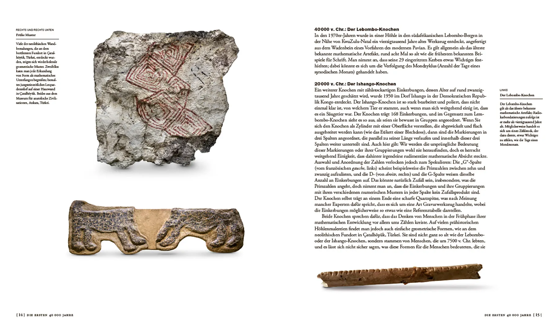 Beispielinhalt (Bild) Die Wurzeln des Wissens