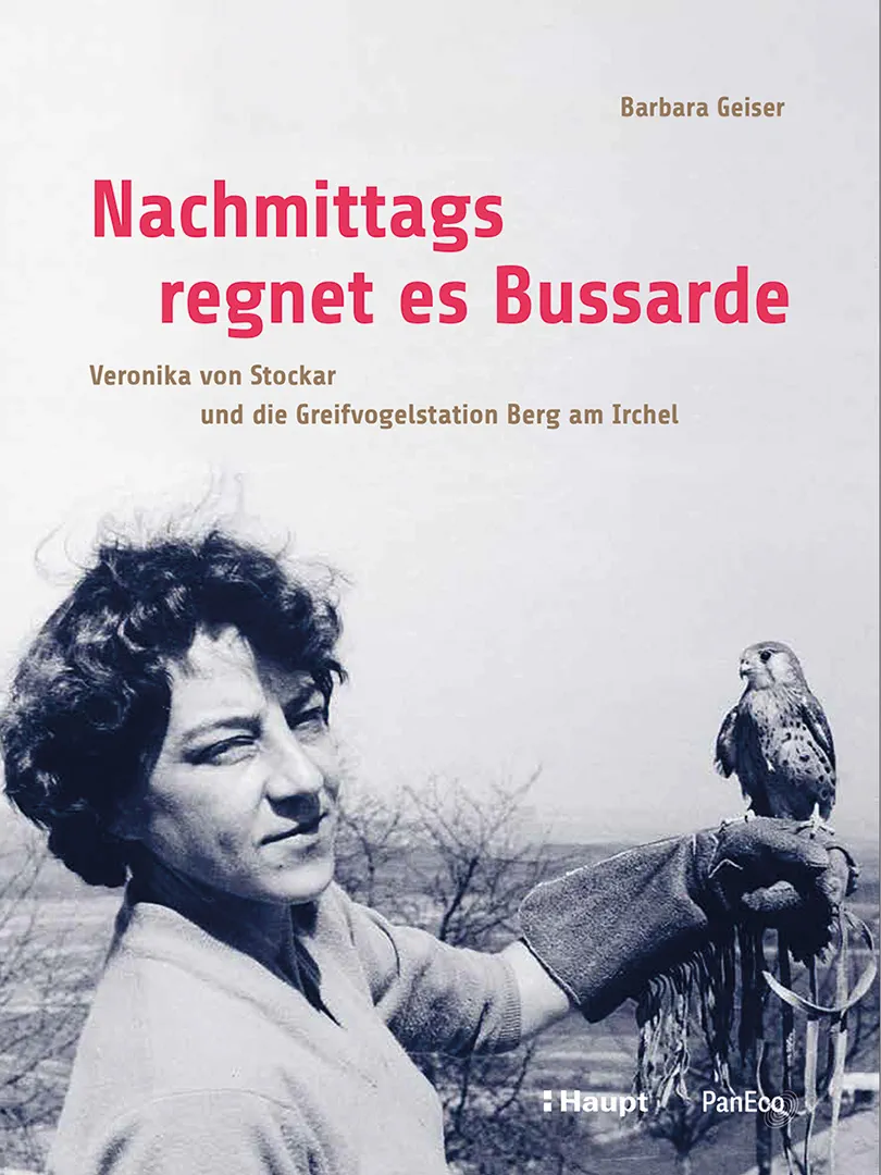 Vorderes Coverbild Nachmittags regnet es Bussarde