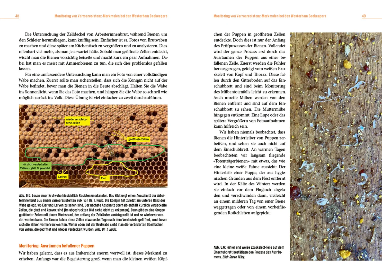 Beispielinhalt (Bild) Die Lösung der Honigbiene für das Varroa-Problem