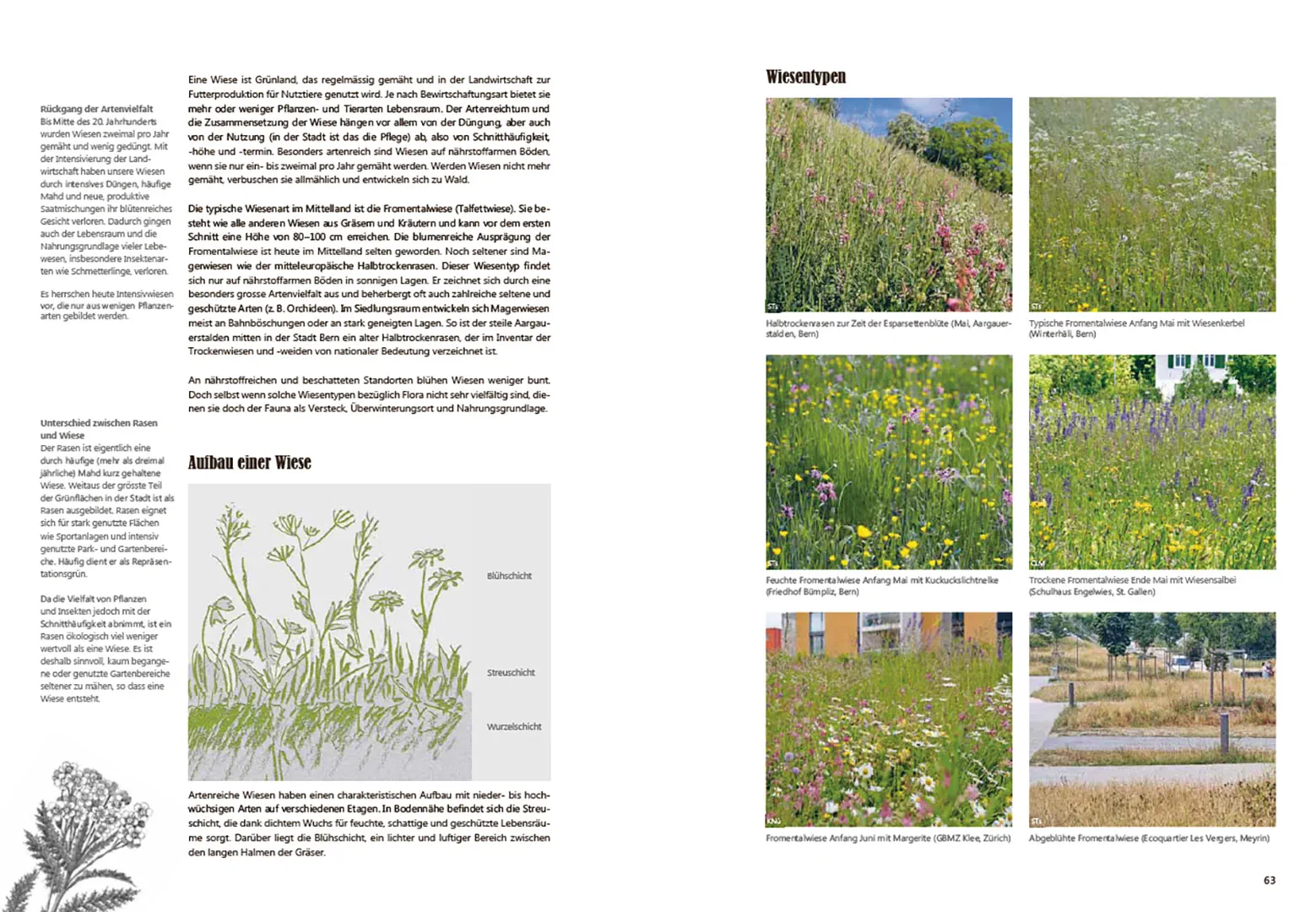Beispielinhalt (Bild) Praxishandbuch Stadtnatur