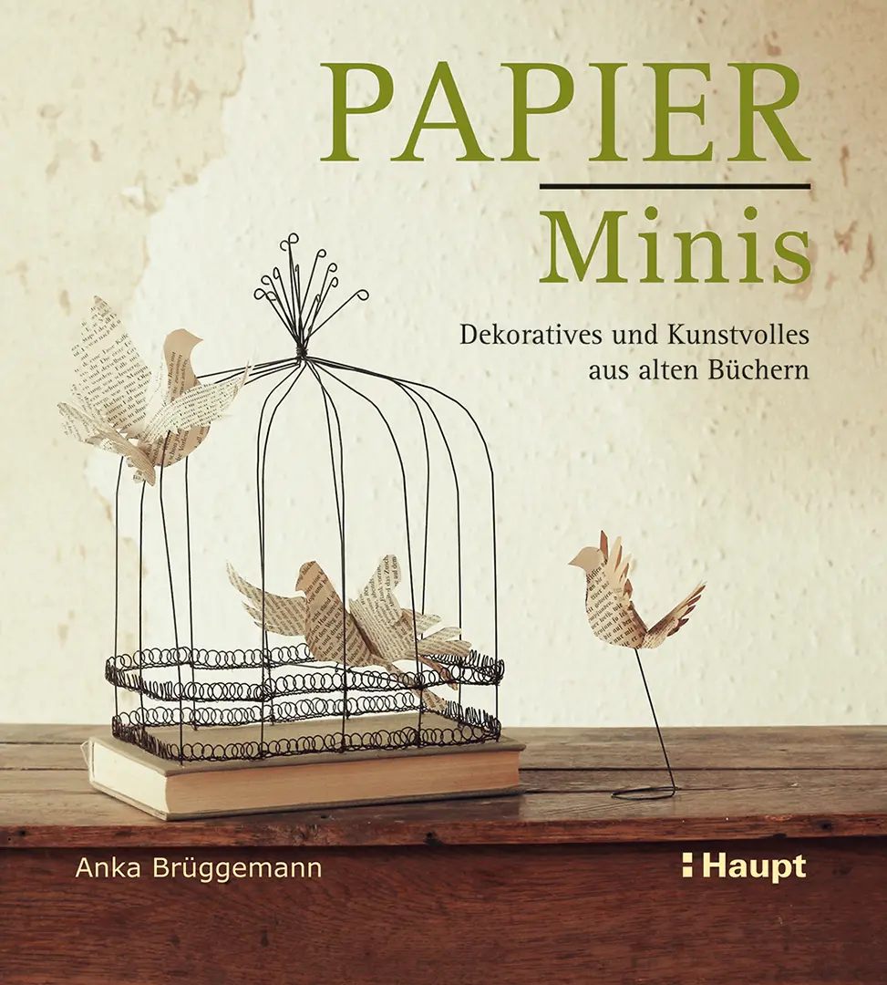Vorderes Coverbild Papier-Minis