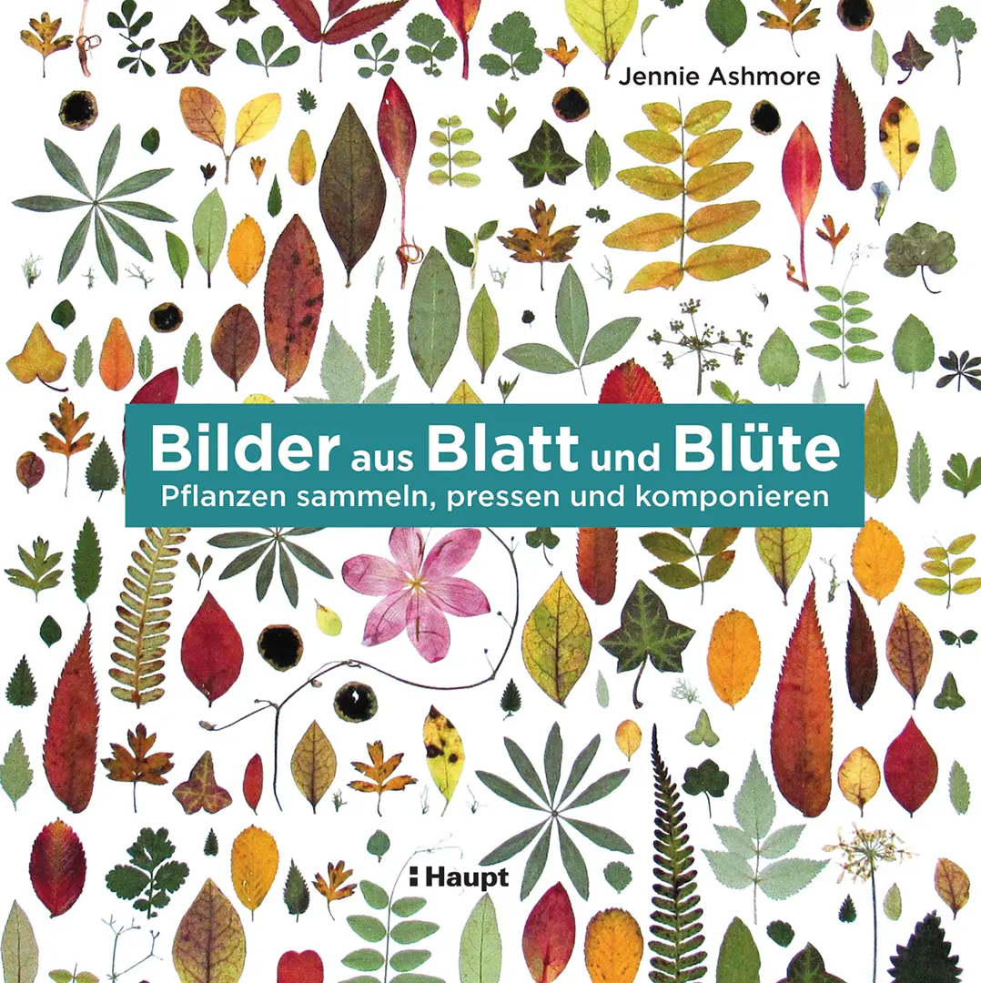 Vorderes Coverbild Bilder aus Blatt und Blüte