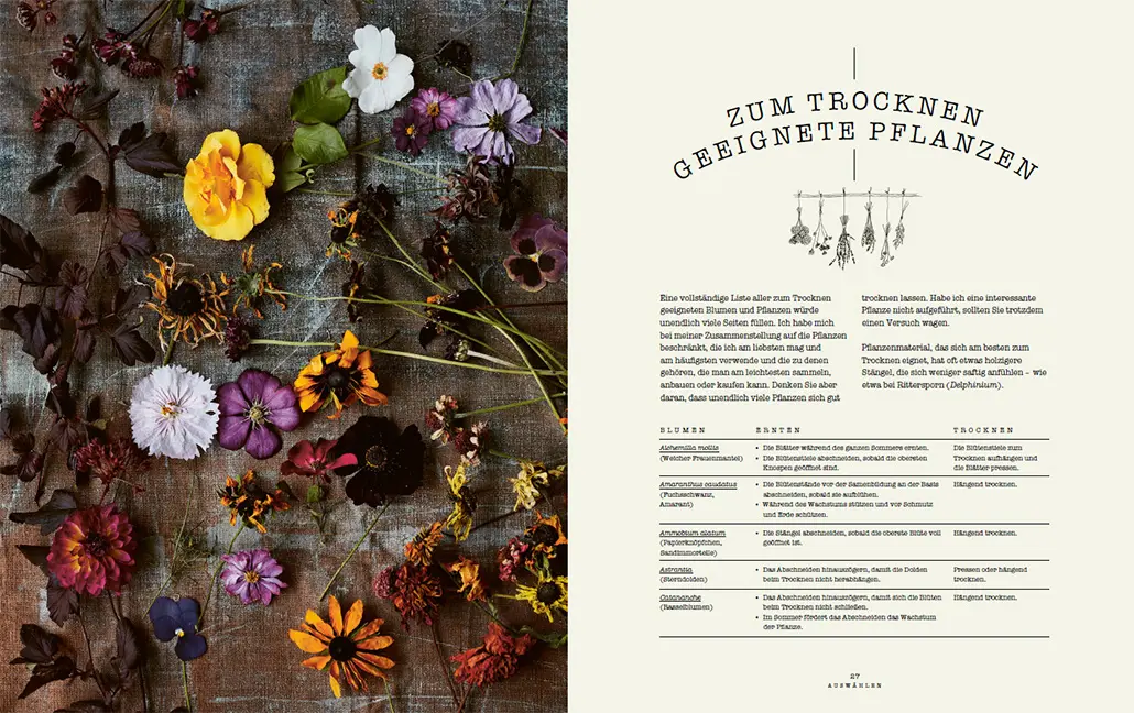 Beispielinhalt (Bild) Trockenblumen