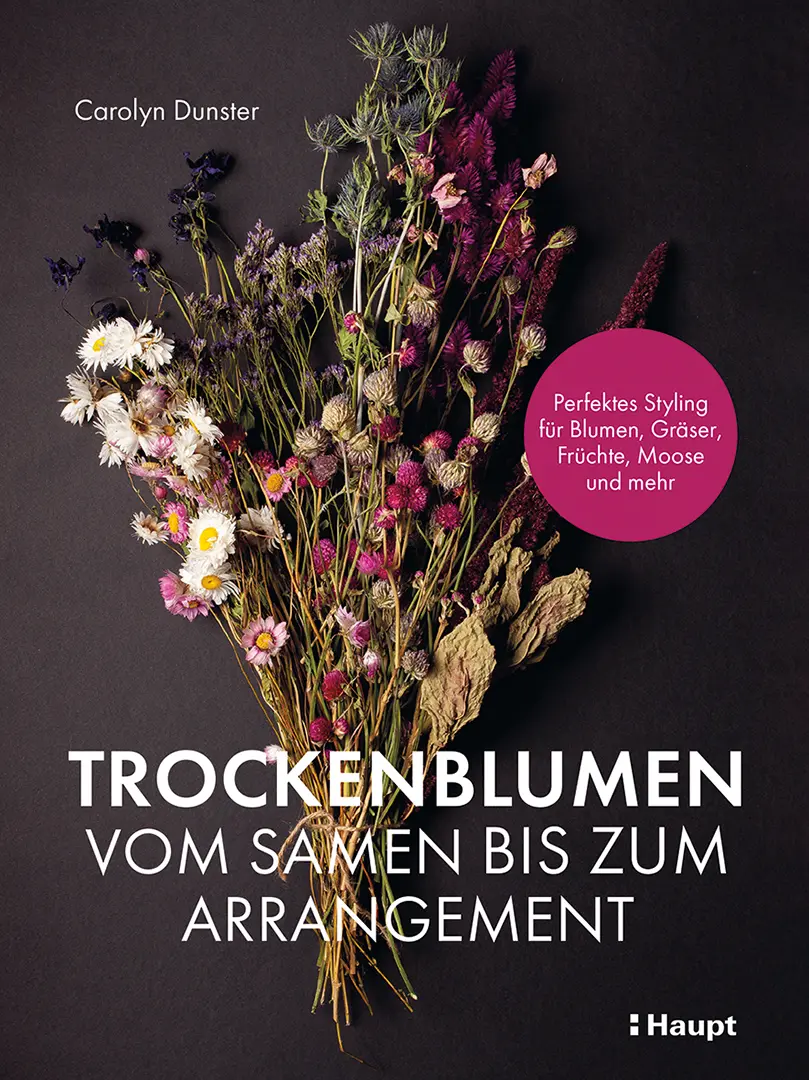Vorderes Coverbild Trockenblumen – vom Samen bis zum Arrangement
